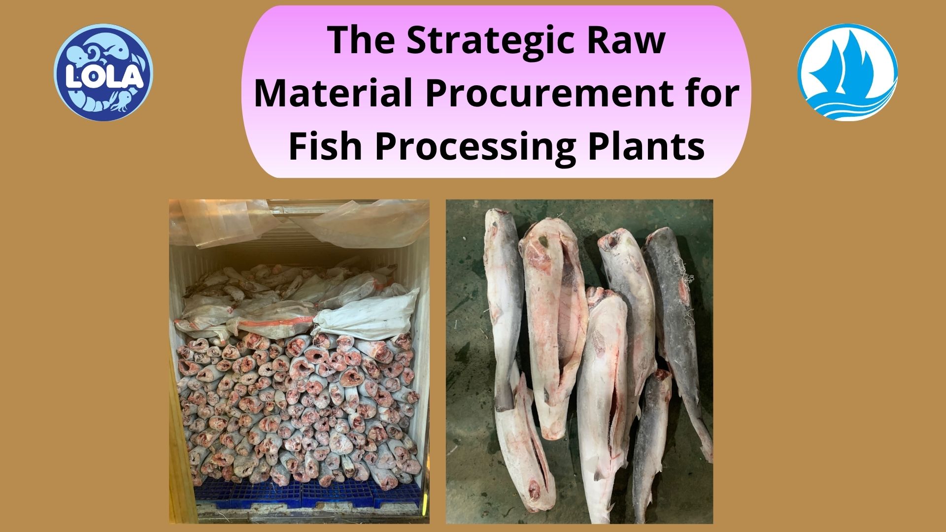  The Strategic Raw Material Procurement for Fish Processing Plants